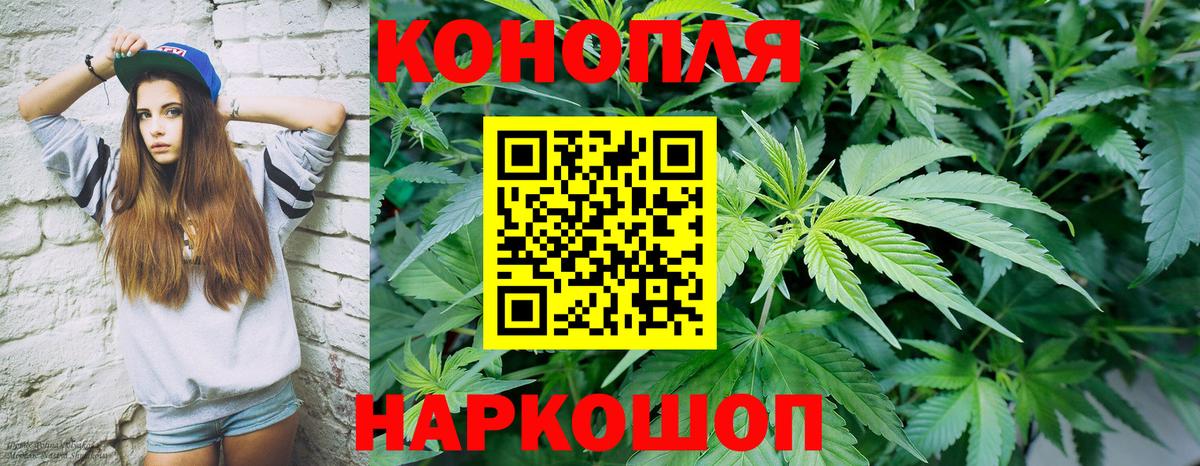 Бошки Шишки VHQ Химки